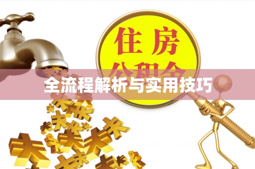 禄丰全流程解析与实用技巧