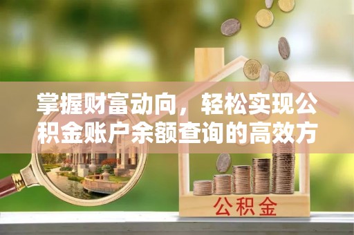 禄丰掌握财富动向，轻松实现公积金账户余额查询的高效方式