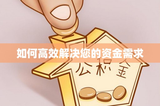 禄丰如何高效解决您的资金需求